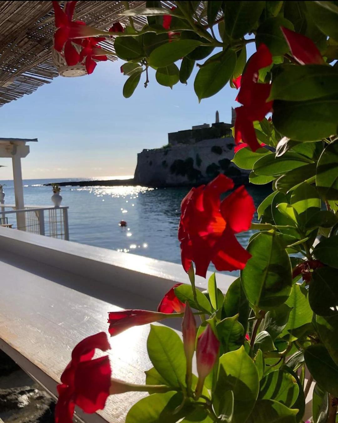 Vila Casa Carlotta Monopoli Exteriér fotografie